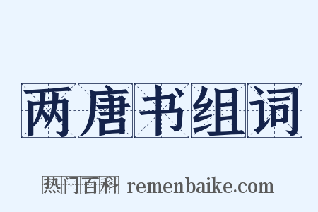 两唐书组词是什么意思的图片